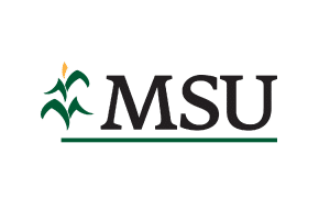 msu